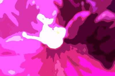 Raspberry Crush by Sarah OToole